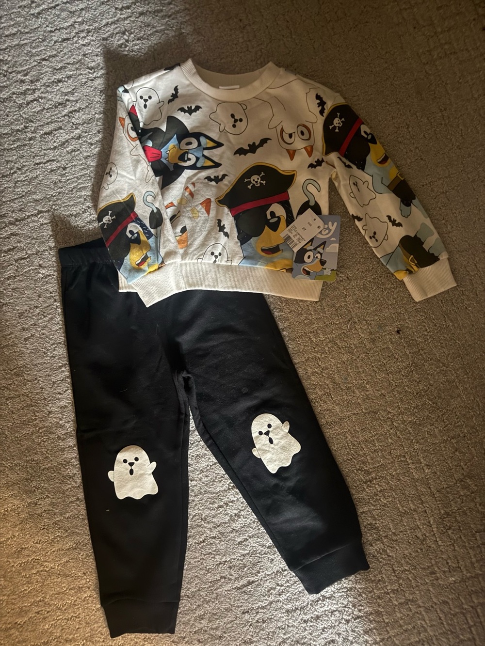 bluey halloween outfit size 3T